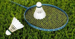Ein Federballspiel für das Spielen auf dem Rasen